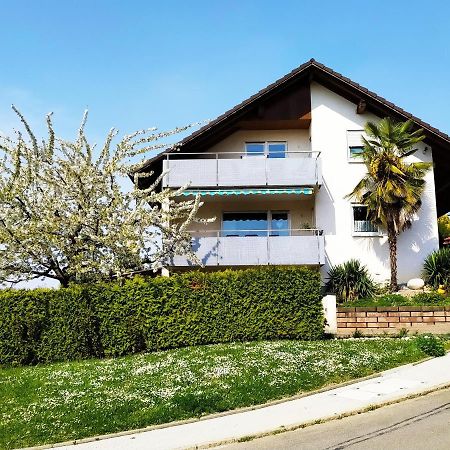 Haus Kramer Apartment Bad Bellingen Exterior foto